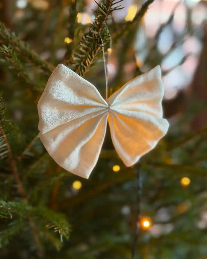 Rosettblomma (Snövit)