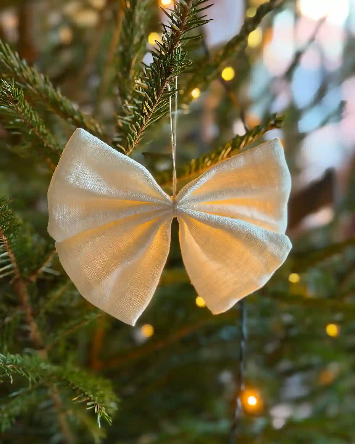 Rosettblomma (Snövit)